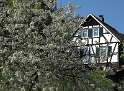 Wuppertal Haus IMG_1783 Kopie